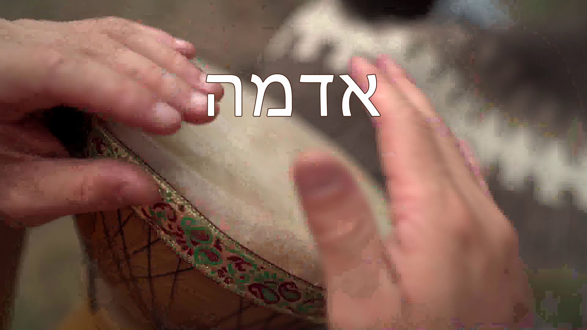 אדמה